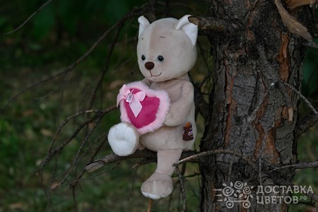 Мягкая игрушка "Романтичный Котик с розовым сердечком"